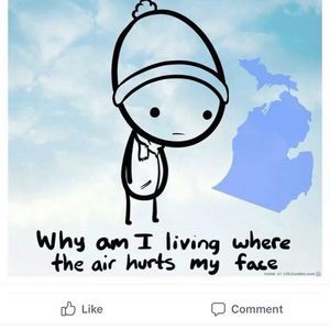 Meet your Posher, Laurie